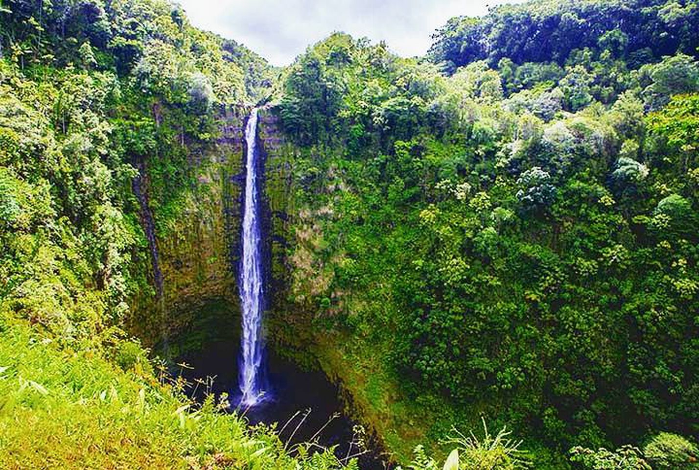 Intimate Retreat Cabin with Lush Surroundings in Pahoa on Hawaii's Big Island