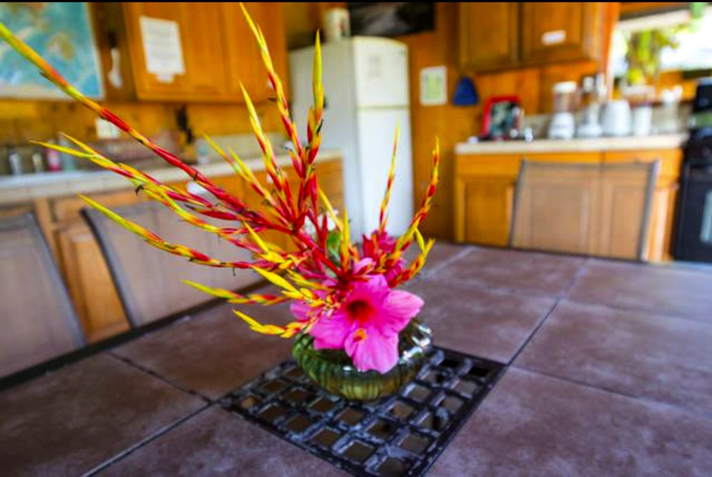 Unique Family-Friendly Cabin near the Beach on Hawaii Island