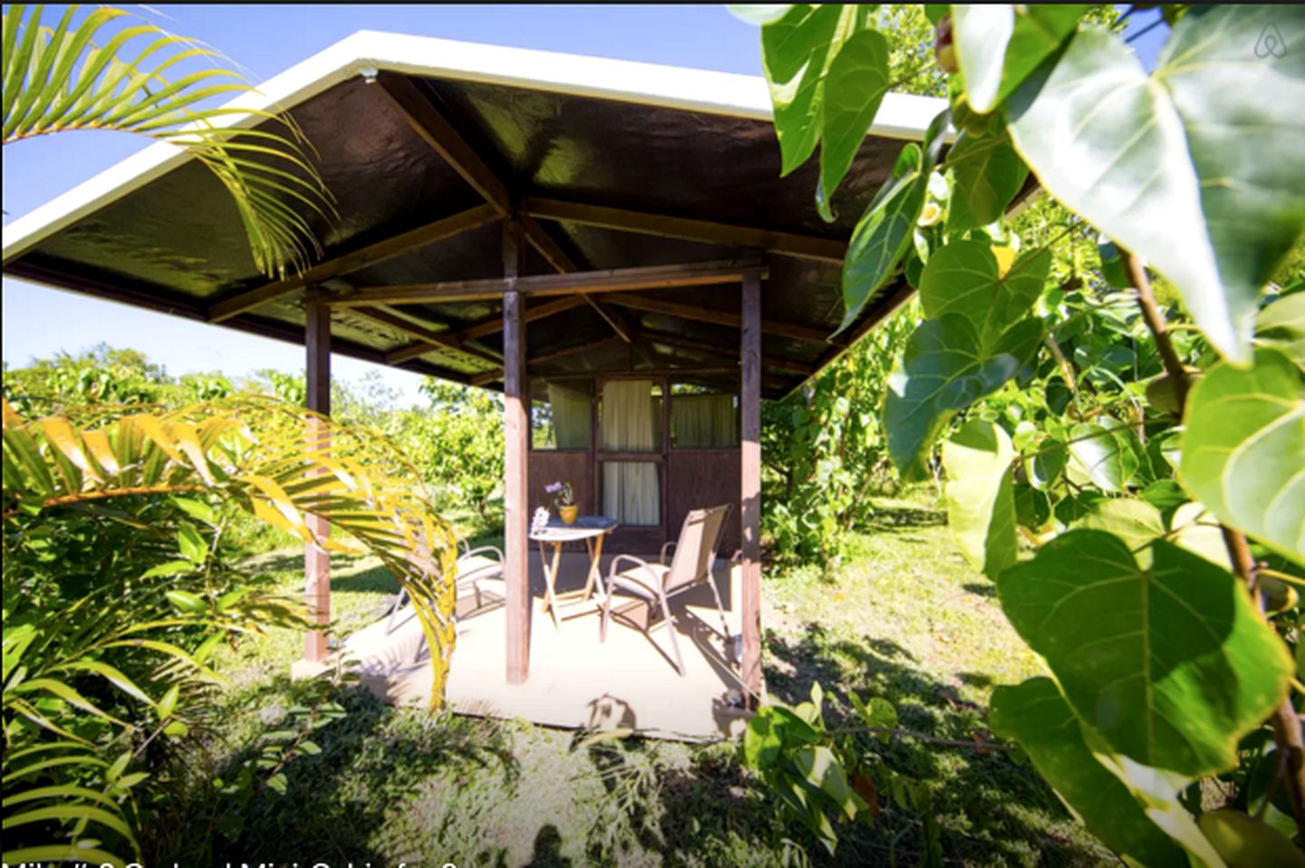 Romantic Rental for a Couple's Getaway in the Puna Jungle in Hawaii