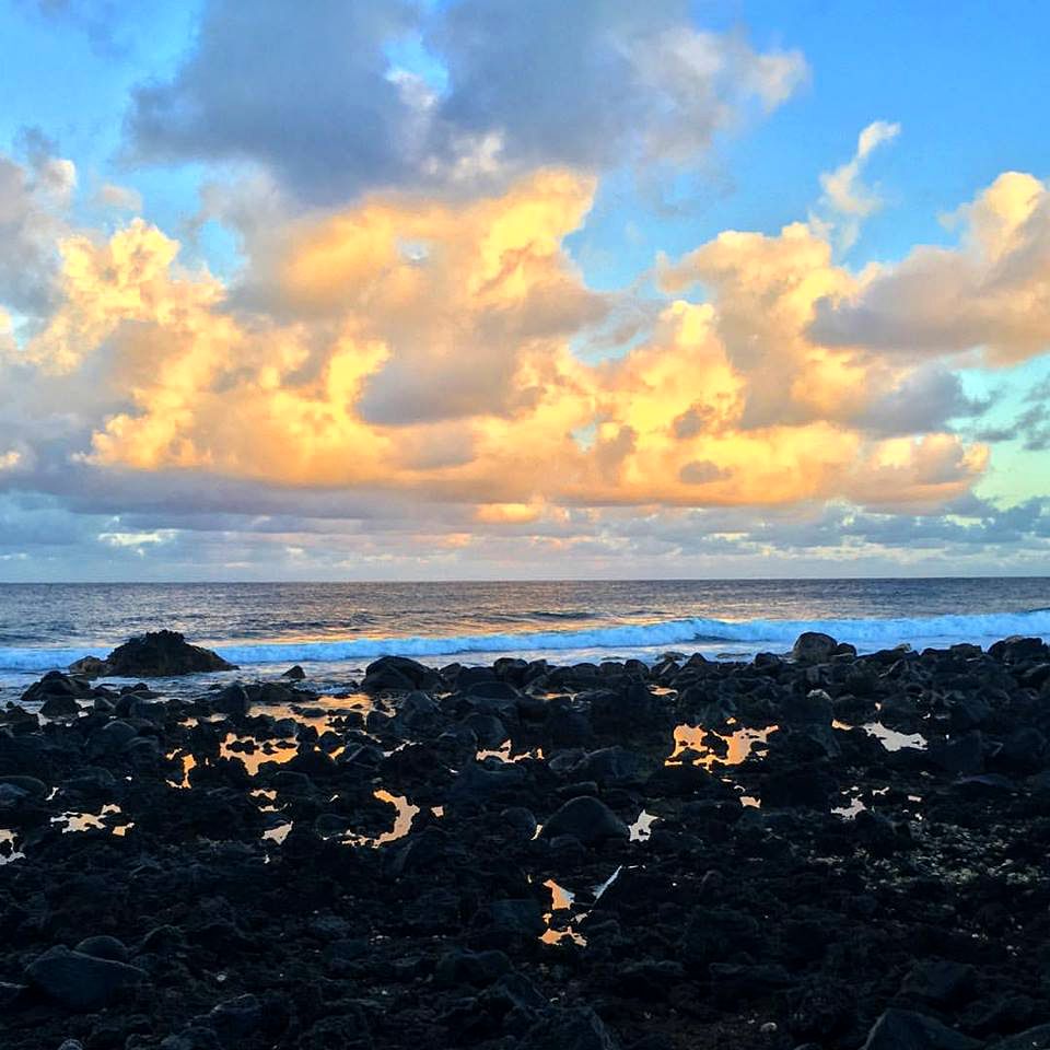 Family-Friendly Camping Cabin with Jungle View on the Big Island, Hawaii