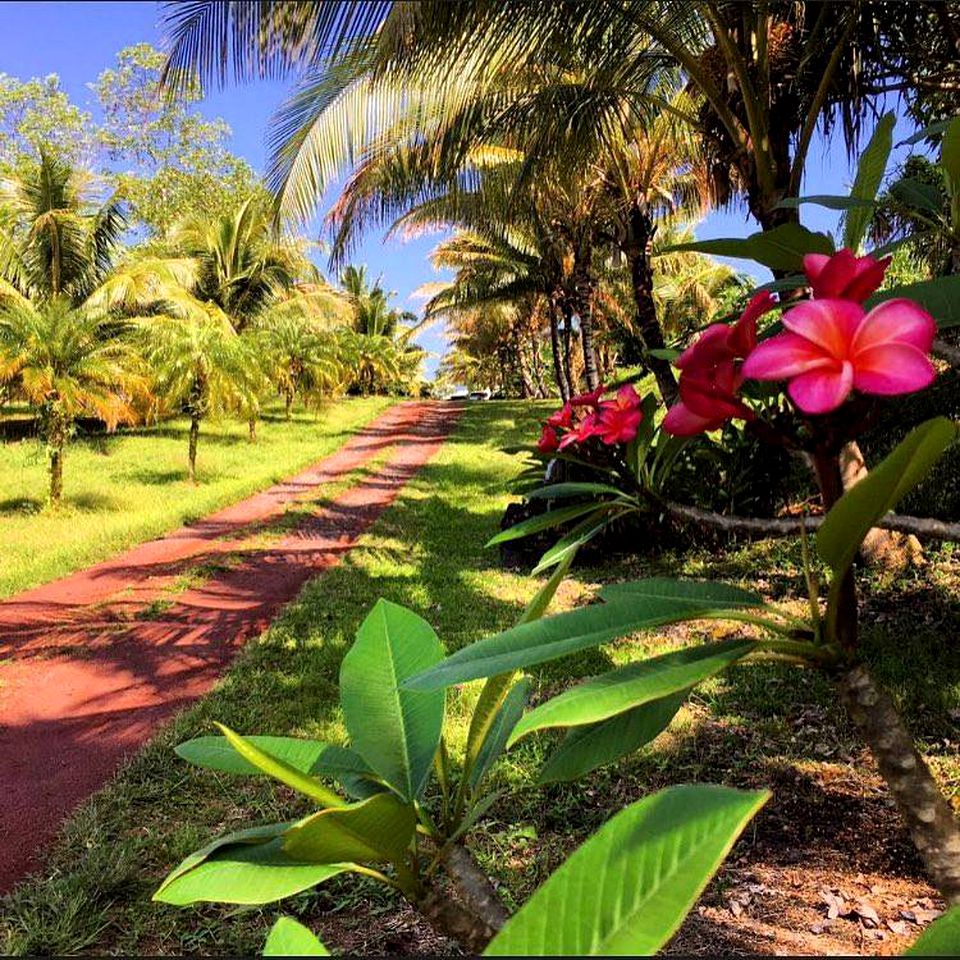 Family-Friendly Camping Cabin with Jungle View on the Big Island, Hawaii