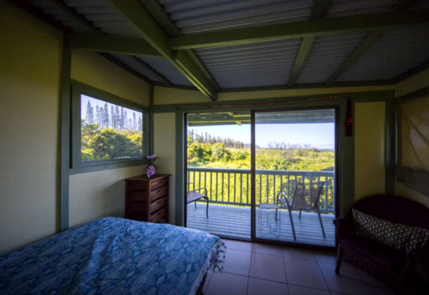 Yoga Retreat in an Ecological Center on the Big Island of Hawaii