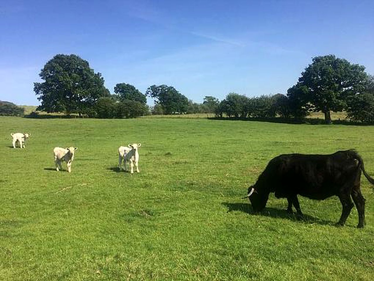 Delightful Pod Rental for a Holiday near the Peak District, Cheshire