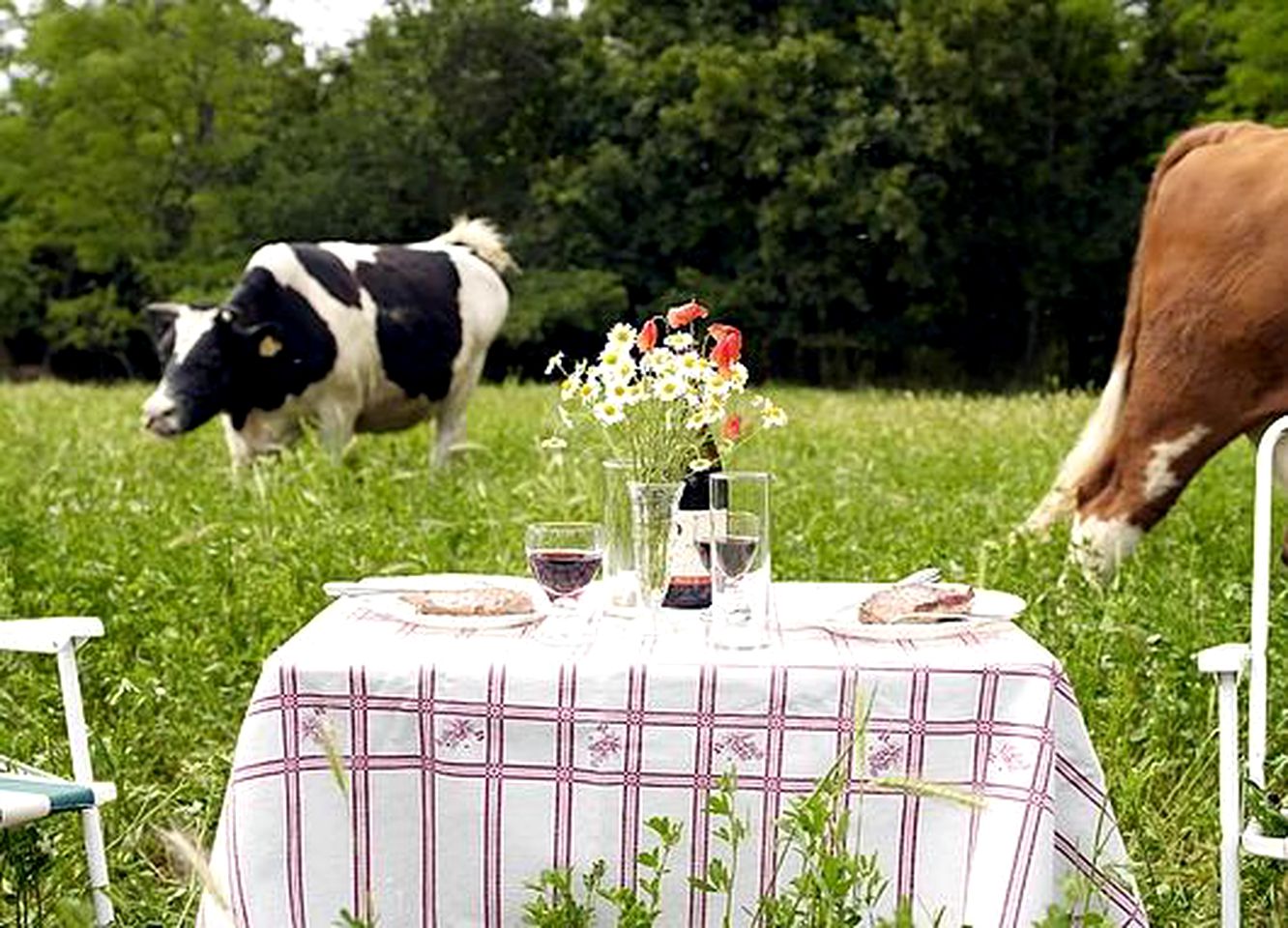 Delightful Pod Rental for a Holiday near the Peak District, Cheshire