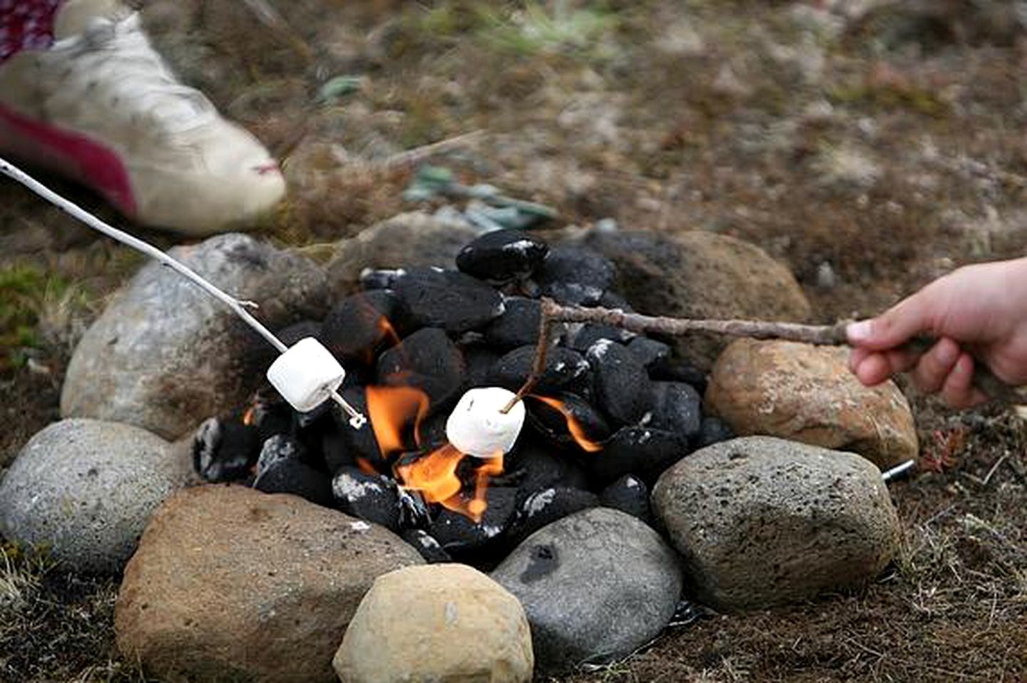 Delightful Pod Rental for a Holiday near the Peak District, Cheshire