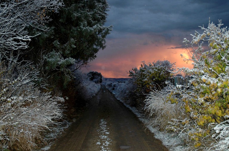 Cottages (Arroyo Seco, New Mexico, United States)