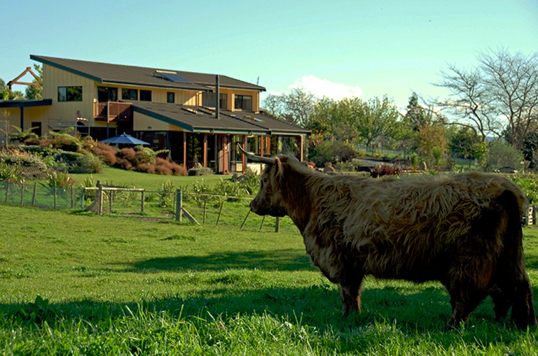 Nature Lodges (Gisborne, North Island, New Zealand)