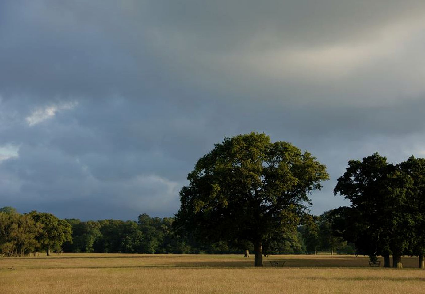 Charming Bell Tent Rental for a Romantic Getaway for Two in West Sussex, England