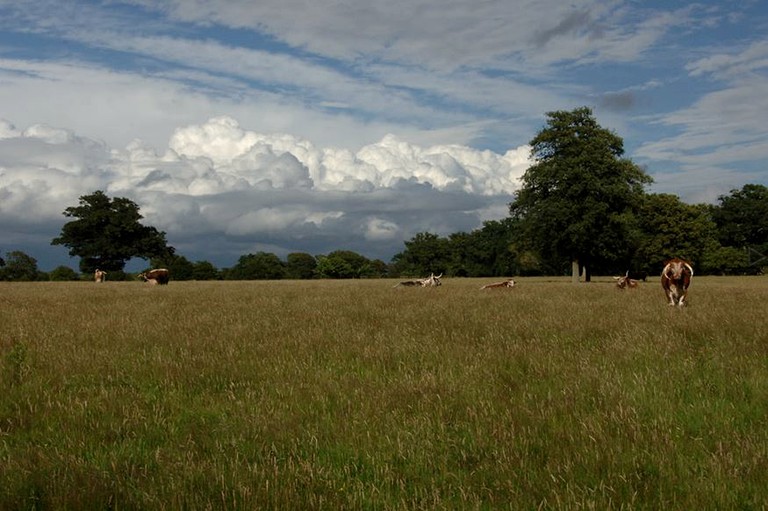 Bell Tents (Horsham, England, United Kingdom)