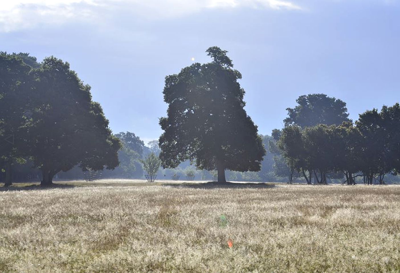 Spacious Tent Rental with a Sofa in Horsham, England