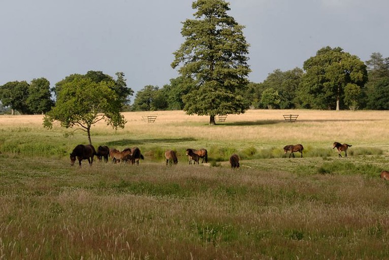 Bell Tents (Horsham, England, United Kingdom)