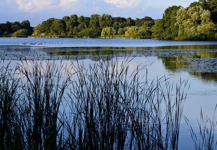 Bell Tents (Horsham, England, United Kingdom)