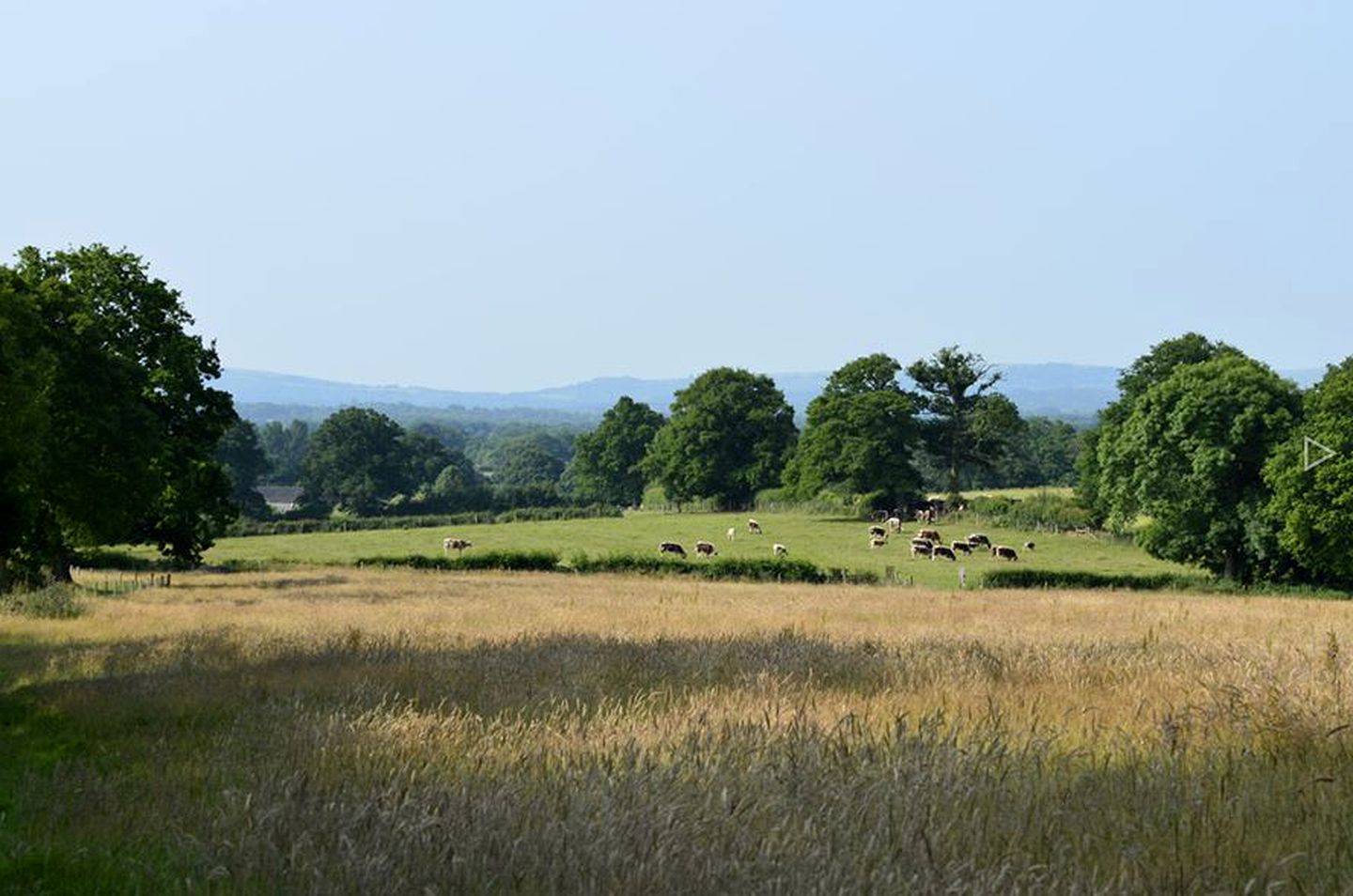 Rustic Weekend Getaway with a Fire Pit near the Village of Shipley in England