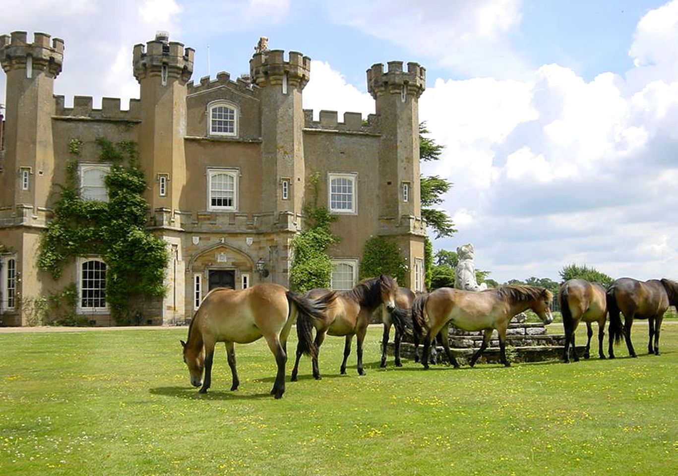 Rustic Weekend Getaway with a Fire Pit near the Village of Shipley in England