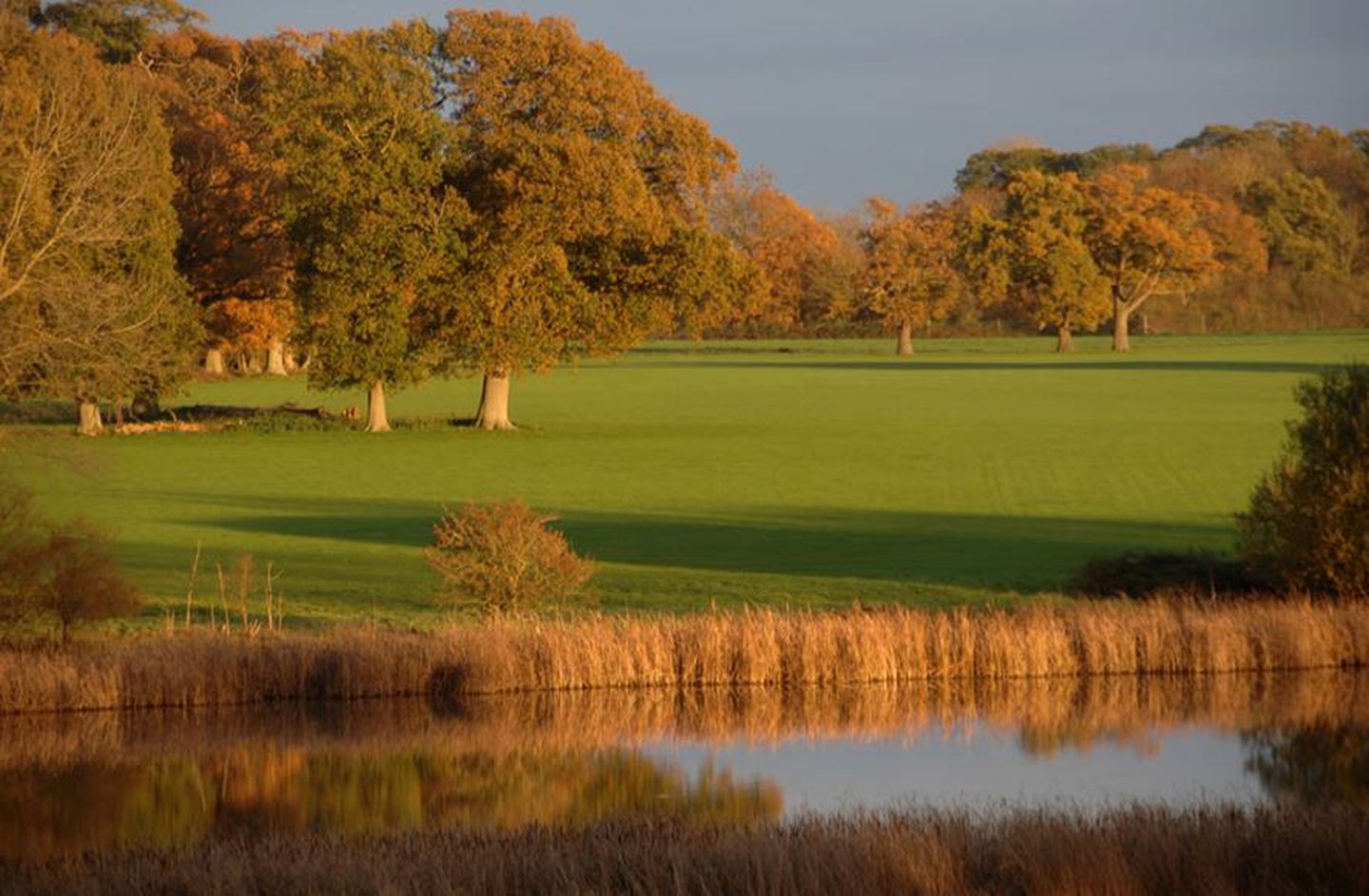 Rustic Weekend Getaway with a Fire Pit near the Village of Shipley in England