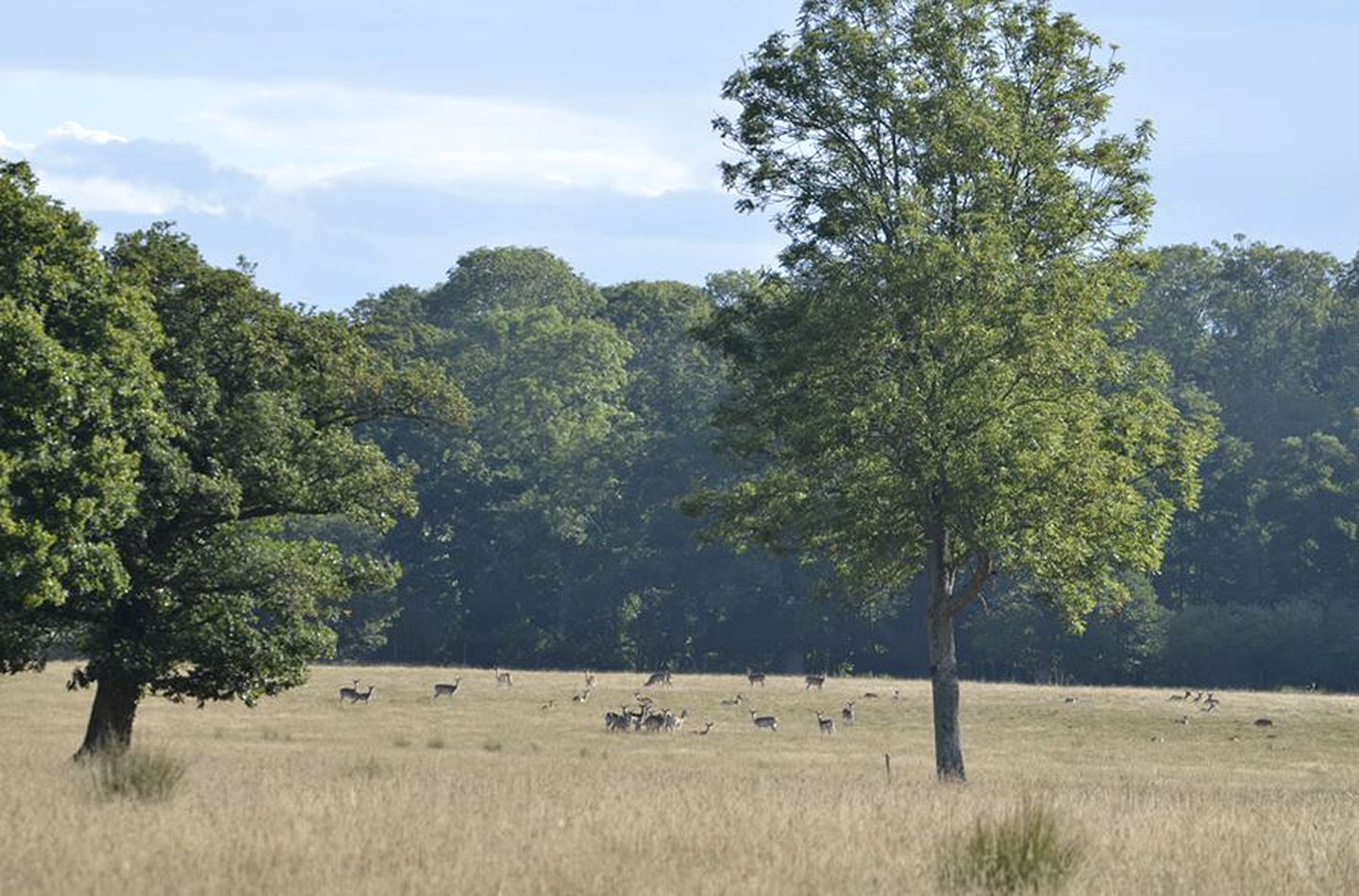 Romantic Getaway for Two with Sunset Views near the River Arun in England