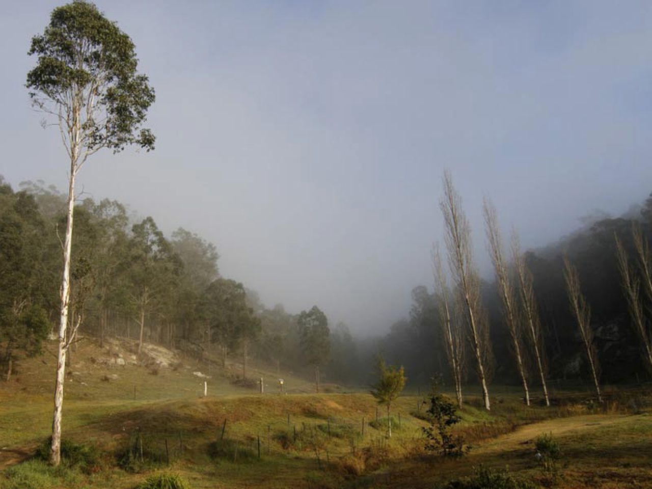 Spacious and Secluded Cabin Retreat Situated near Wollombi, New South Wales