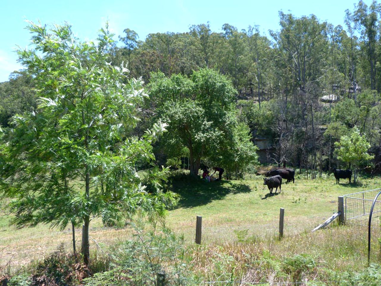 Spacious and Secluded Cabin Retreat Situated near Wollombi, New South Wales