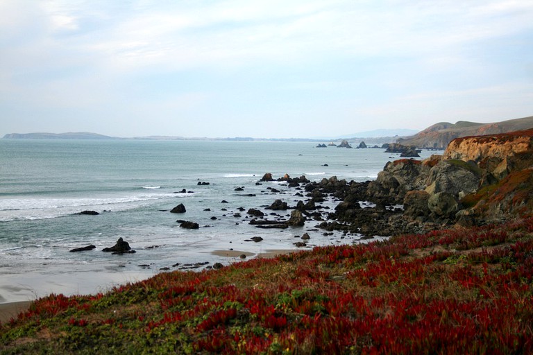 Beach houses (United States of America, Dillon Beach, California