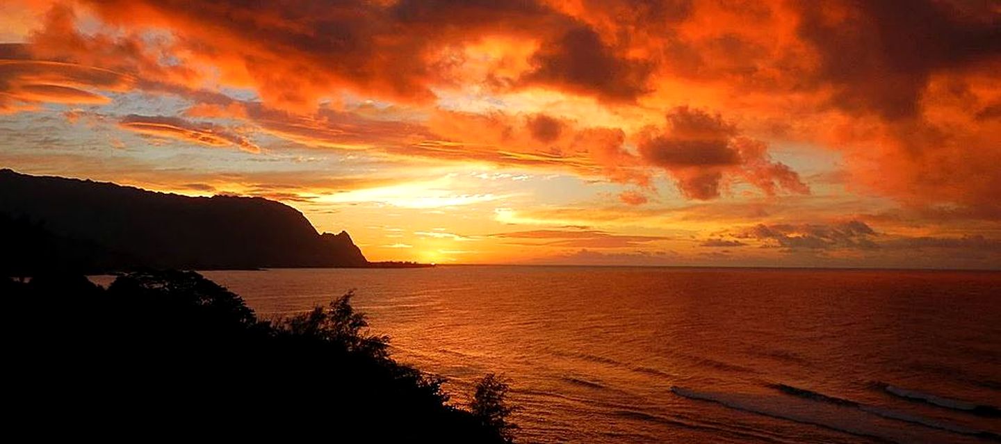 Tropical Nature Lodge with Incredible Views near Kohala Forest Reserve in Hawaii