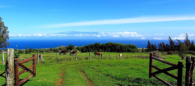 Cabins (Hawi, Hawaii, United States)