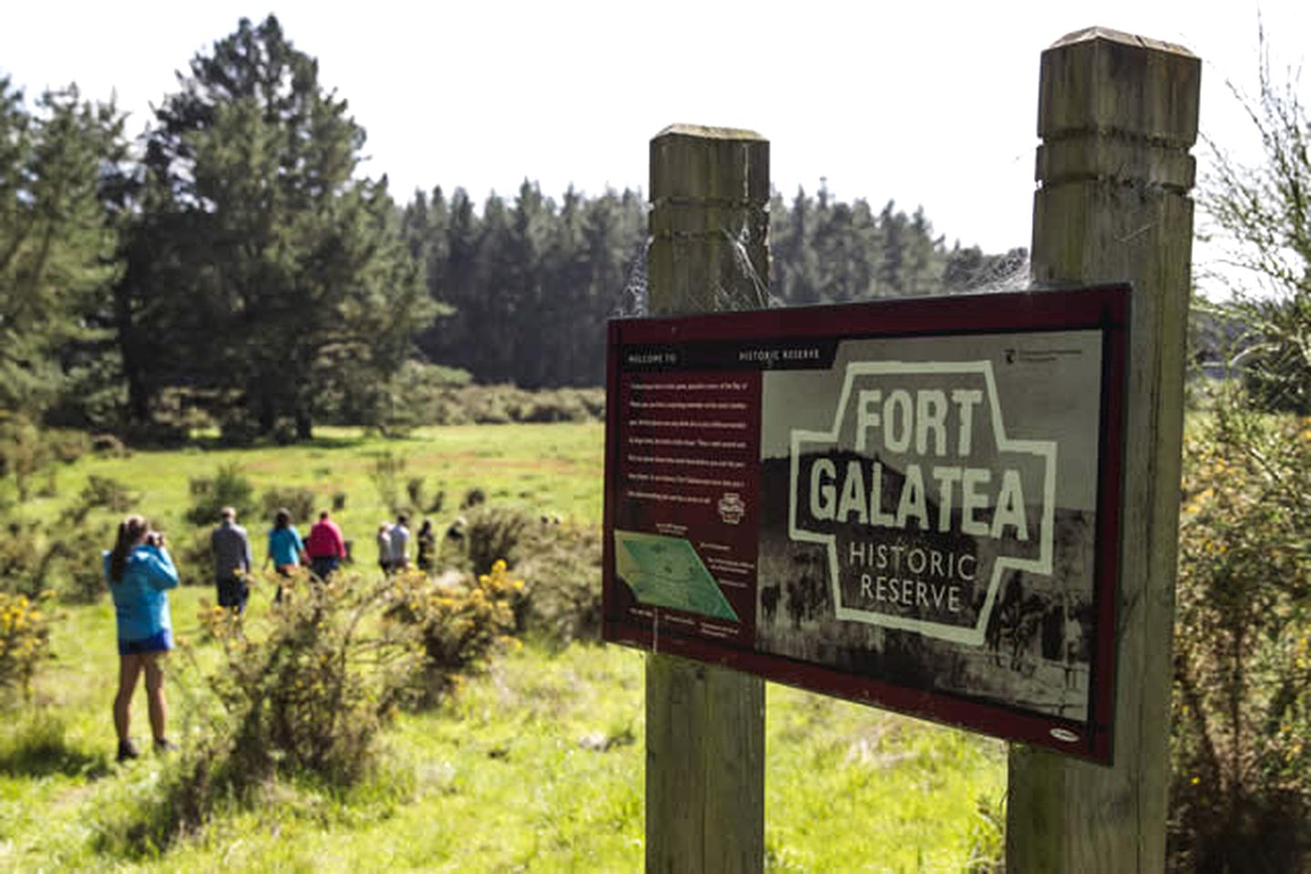 Cozy Camping Cabin near Lake Aniwhenua in Bay of Plenty Region, New Zealand