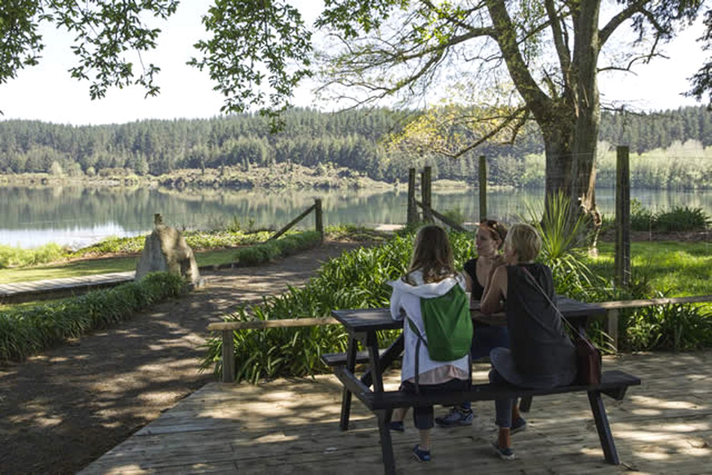 Cozy Camping Cabin near Lake Aniwhenua in Bay of Plenty Region, New Zealand
