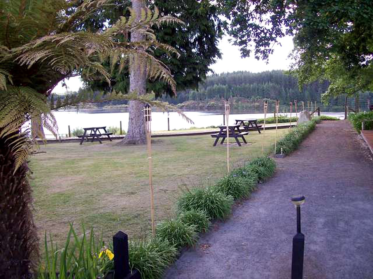 Cozy Camping Cabin near Lake Aniwhenua in Bay of Plenty Region, New Zealand