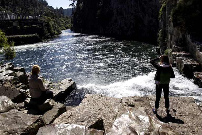 Cottages (Galatea, North Island, New Zealand)