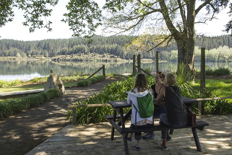 Cottages (Galatea, North Island, New Zealand)