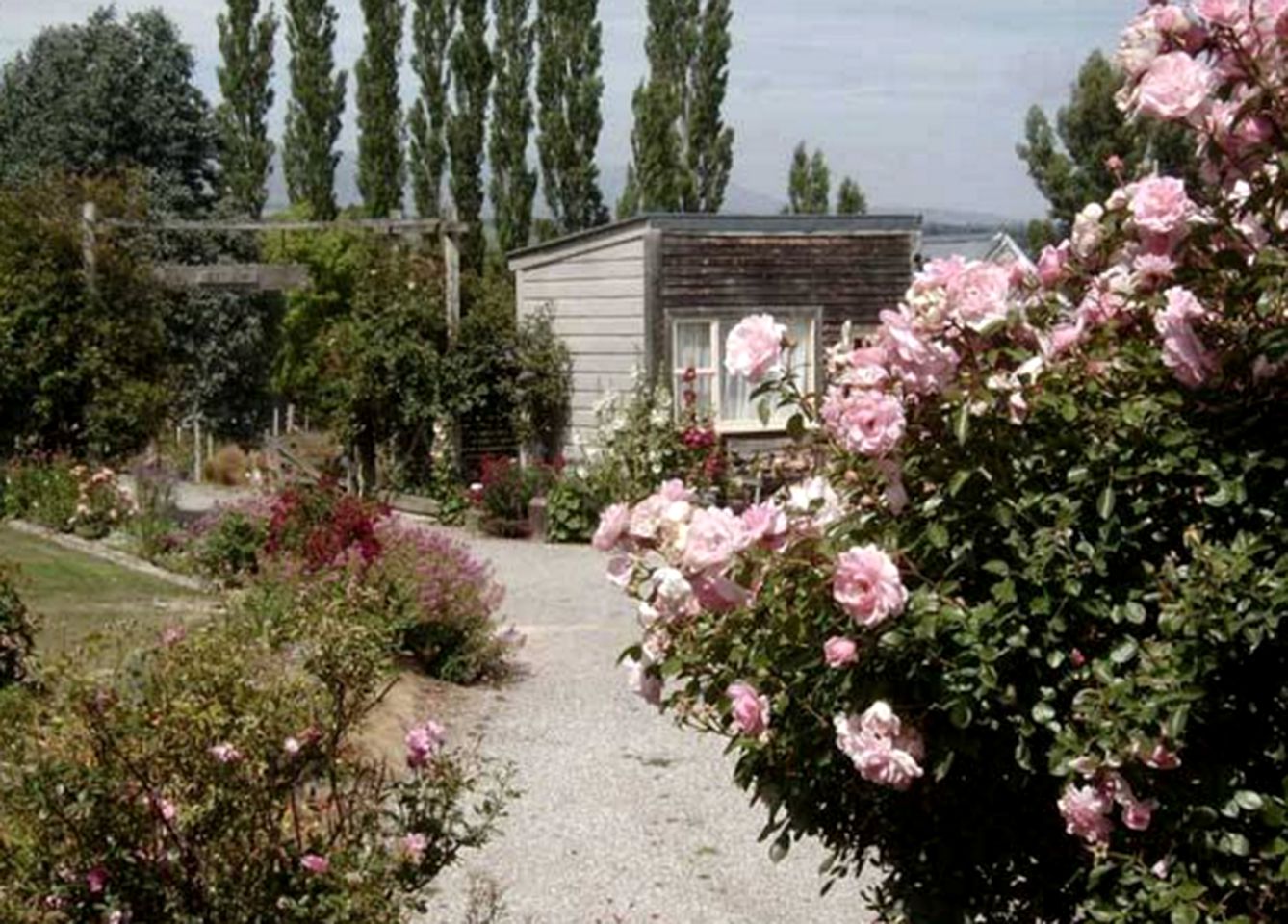 Lovely Glamping Getaway near Rock and Pillar Range in Picturesque Waipiata, New Zealand