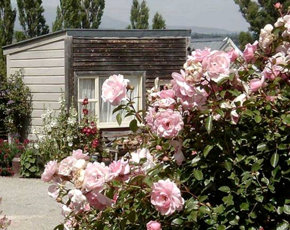 Lovely Glamping Getaway near Rock and Pillar Range in Picturesque Waipiata, New Zealand