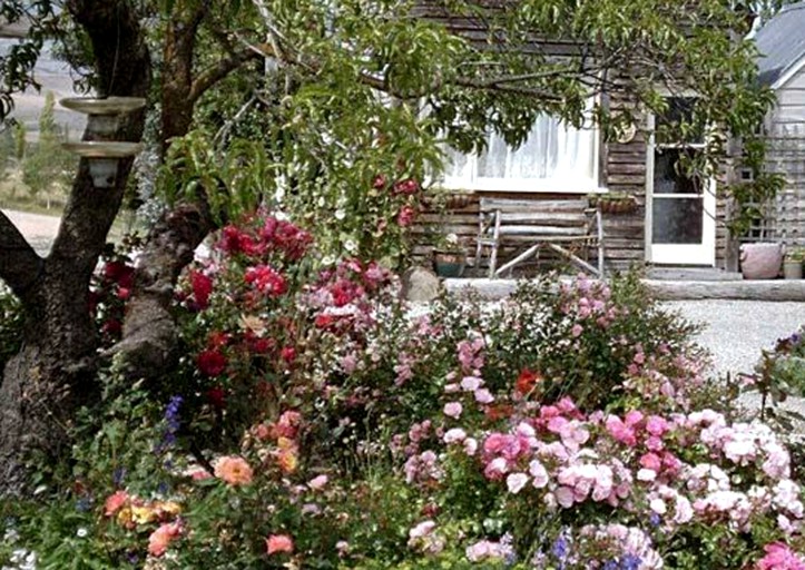 Tiny Houses (Waipiata, South Island, New Zealand)