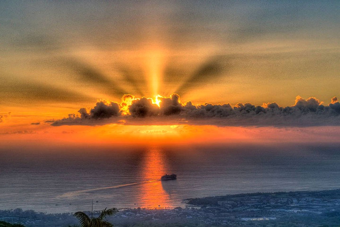 Coastal Farm Cottage with Infinity Pool Overlooking Coffee Farm near Kailua-Kona, Hawaii