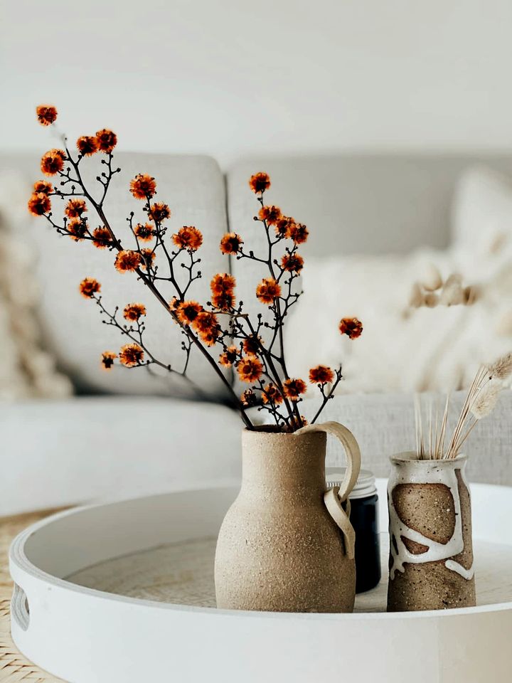 Secluded Mountain Cabin with Private Sauna & Ice-Bath Near Springbrook, Mudgeeraba, Queensland