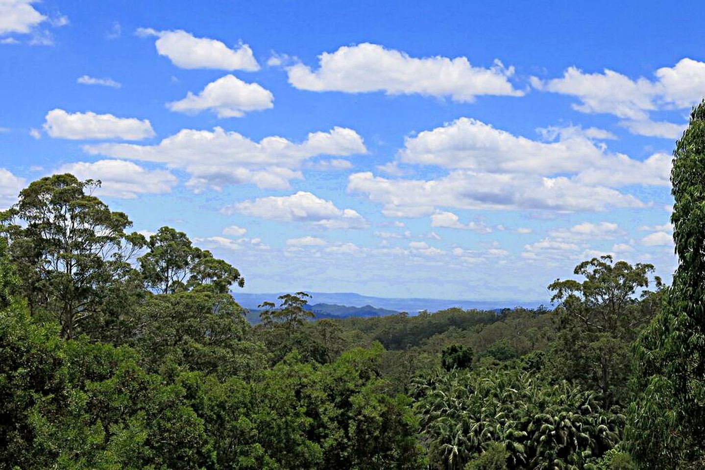 Luxury Chalet with Spa Bath & Log Fire near Ravensbourne National Park, Queensland