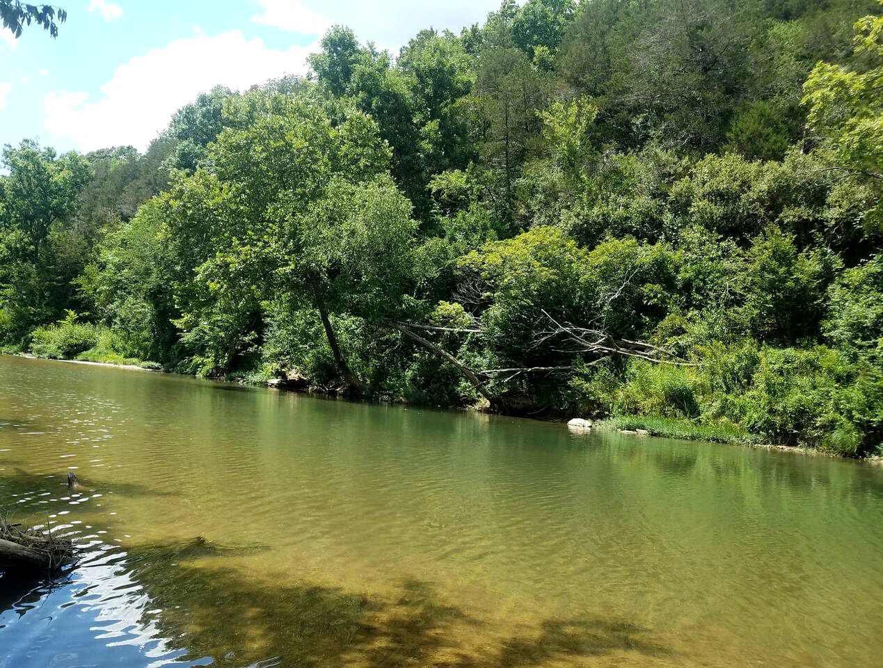 Lovely Eureka Springs Accommodation on the River