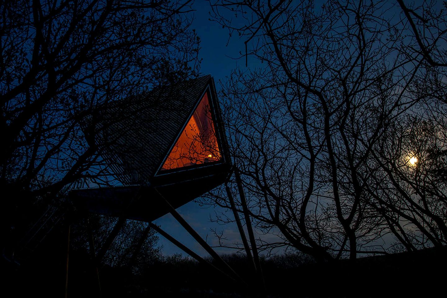 Vibrant Woodland Tree House Oasis near Tintagel Waterfall in Cornwall