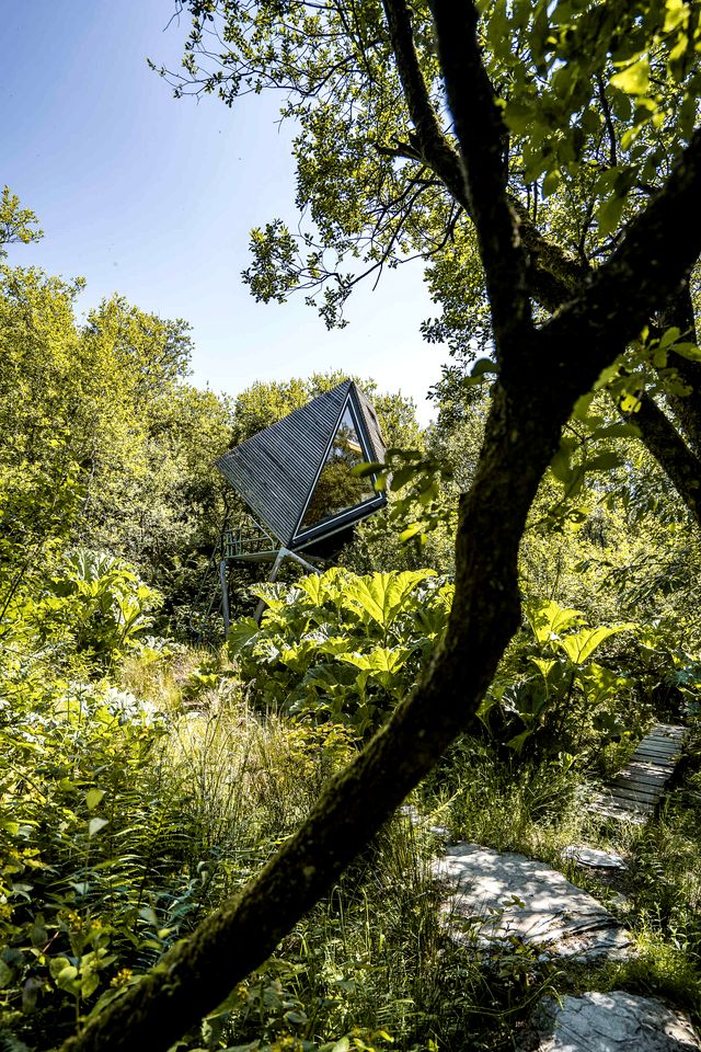 Luminous Woodland Tree House Oasis near Tintagel Waterfall in Cornwall