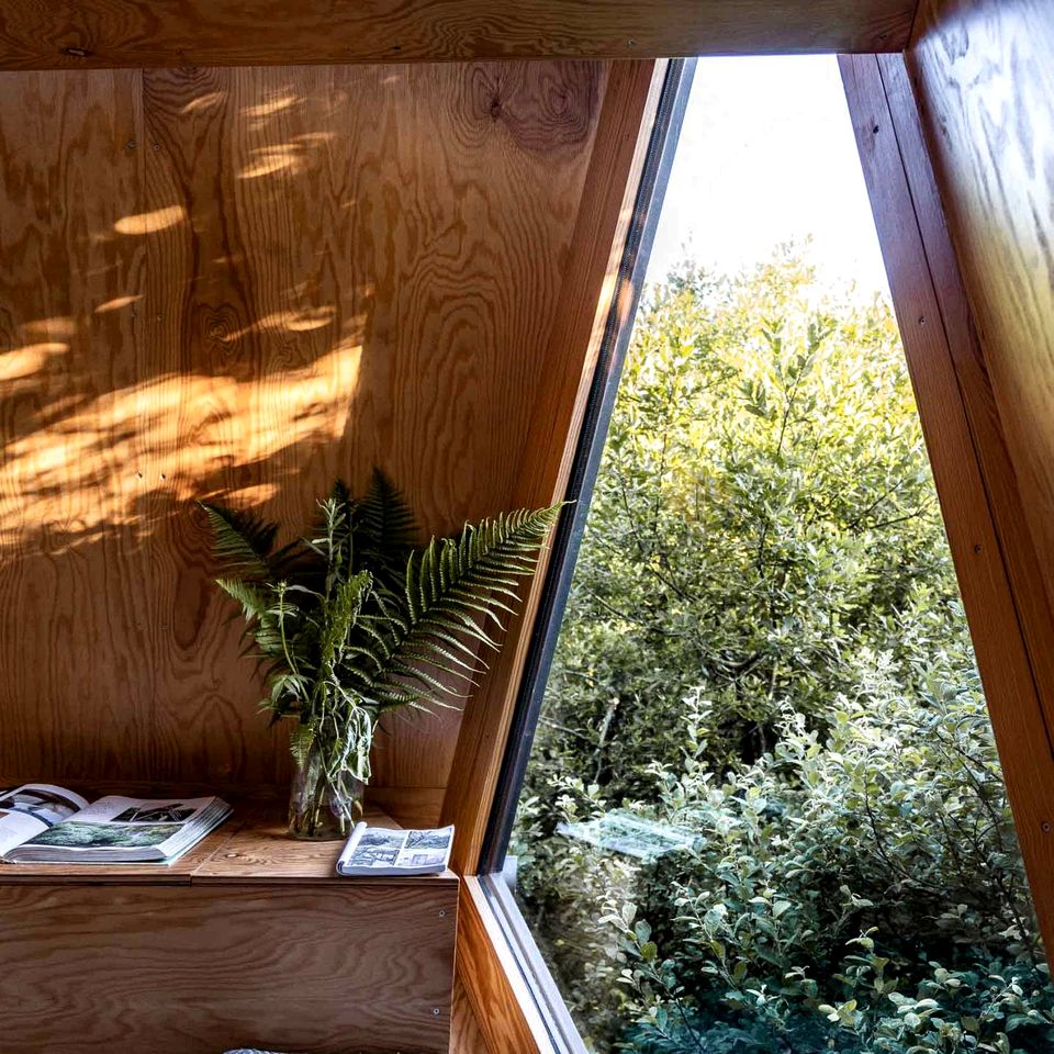 Luminous Woodland Tree House Oasis near Tintagel Waterfall in Cornwall