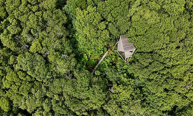 Tree Houses (United Kingdom, Tintagel, England)