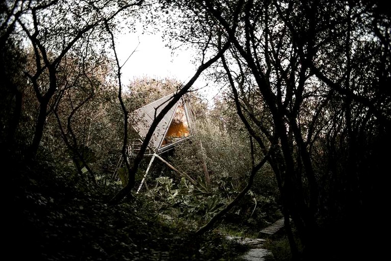 Tree Houses (United Kingdom, Tintagel, England)