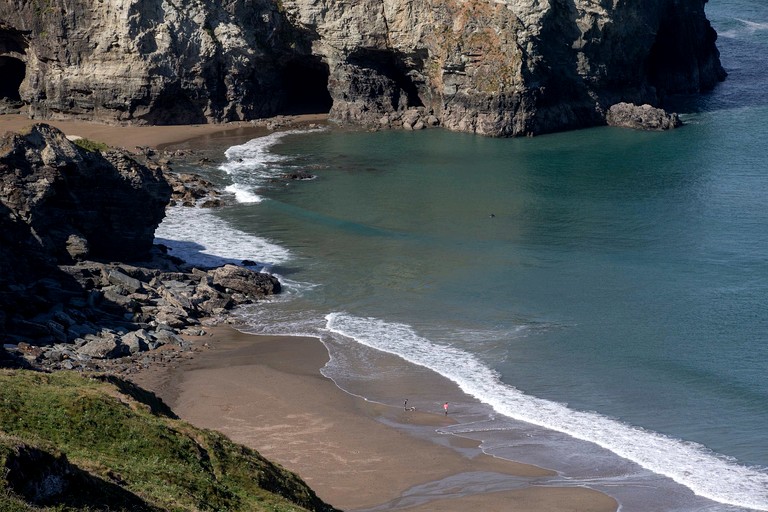 Tree Houses (United Kingdom, Tintagel, England)