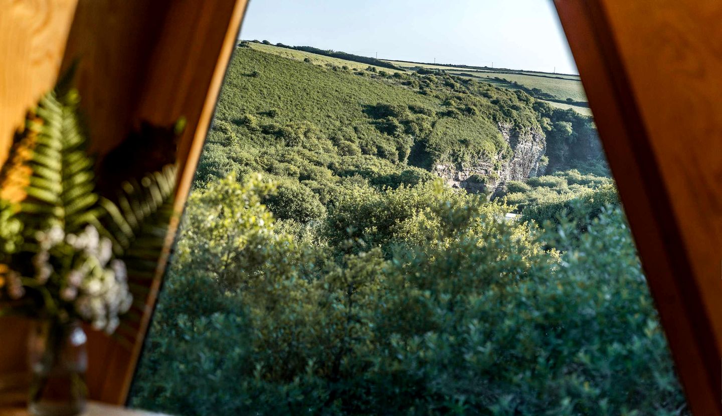 Radiant Woodland Tree House Retreat near Tintagel Waterfall in Cornwall