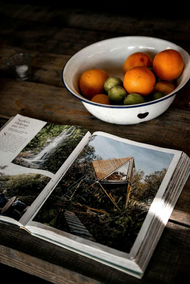 Radiant Woodland Tree House Retreat near Tintagel Waterfall in Cornwall