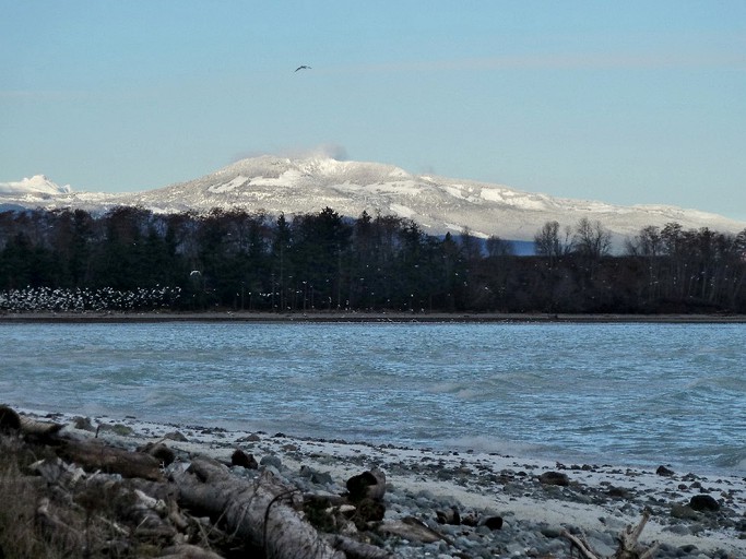 Nature Lodges (Comox, British Columbia, Canada)