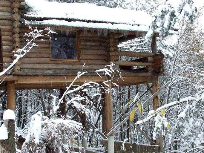 Log Cabins (Saint-Martial-de-Gimel, Nouvelle-Aquitaine, France)