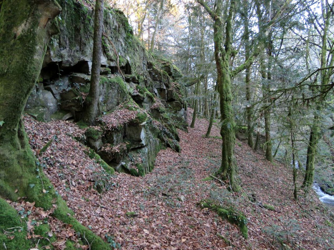 Rustic Log Cabin Rental Tucked Away in the Woods in the Corrèze Region of France