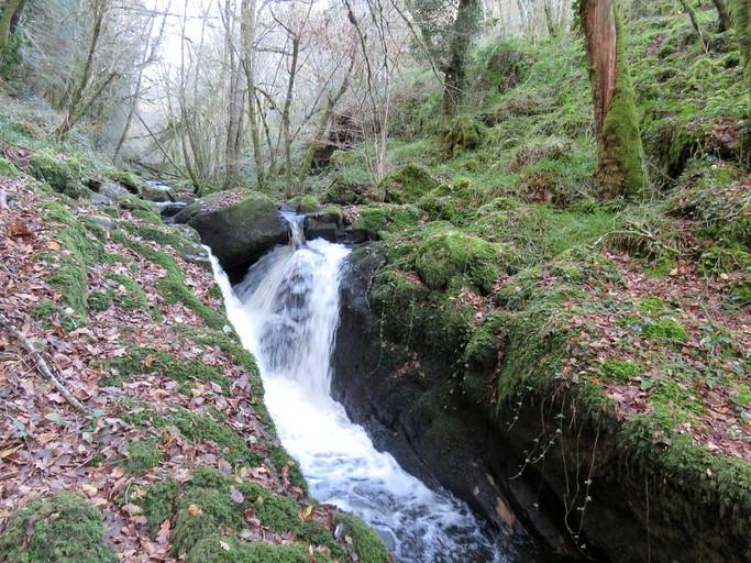 Log Cabins (Saint-Martial-de-Gimel, Nouvelle-Aquitaine, France)
