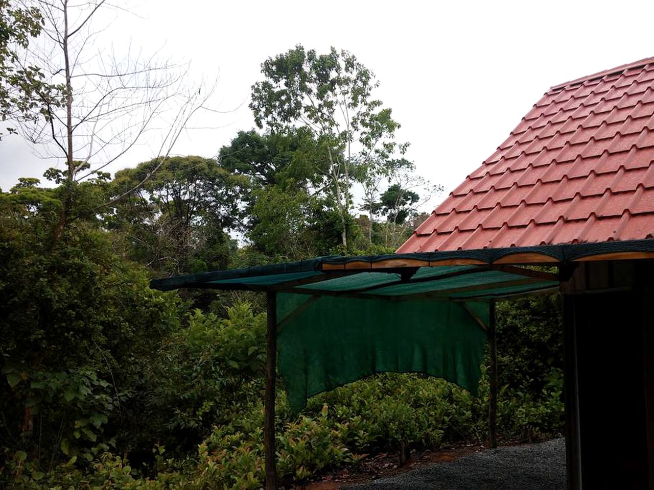 Rustic Cabin Rental on a Secluded Rainforest Property in Platanillo, Costa Rica